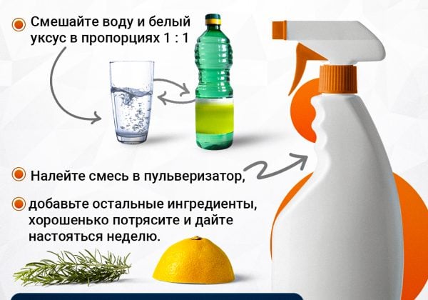 Veikia geriau nei chemija: ekspertai paragino vieną populiarų gėrimą pilti į klozetą