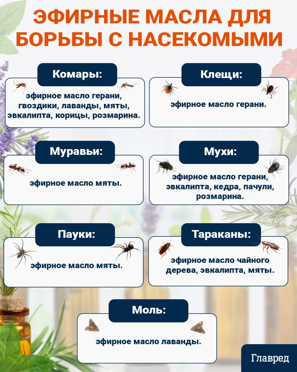 Vabzdžių kontrolės produktų infografikas