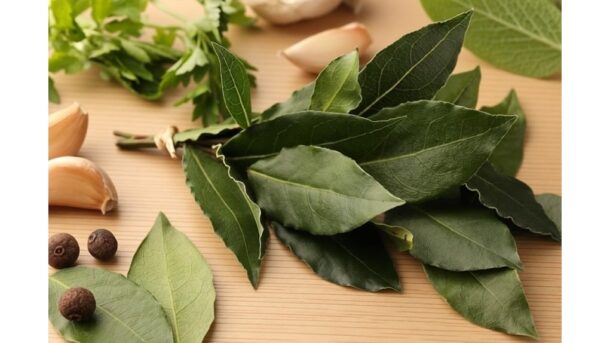 Nugalėk nuovargį su augalu