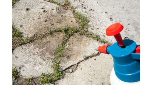 geriausias trijų ingredientų piktžolių naikiklis