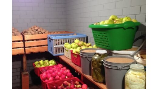 pigūs rūsio drėgmės sprendimai