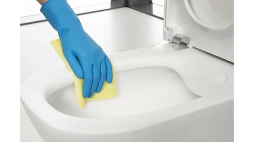 naktinis tualeto kalkių šalinimas