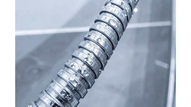 ant žarnos nėra kalkių nuosėdų