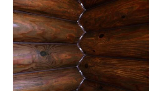 pašalinti drėgmę iš medinio namo