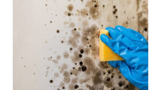 pašalinti pelėsį su skalbimo muilu