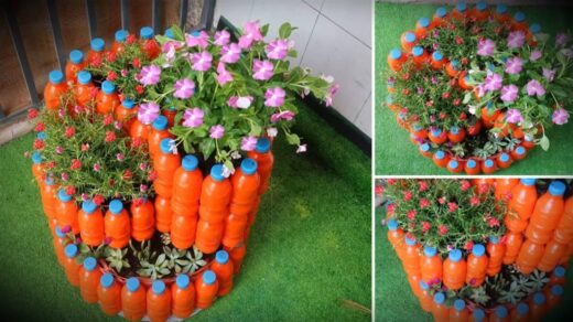 Panaudokite plastikinius butelius kaip vazonus augalams