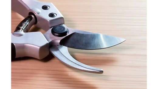 greitas genėjimo žirklių galandimas