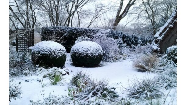ar turėtumėte nukasti sniegą