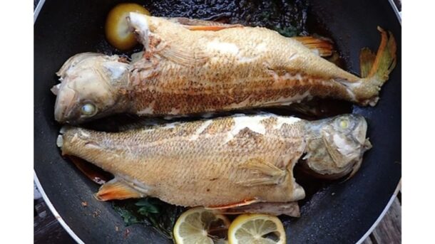 kodėl tavo žuvies lazdelės